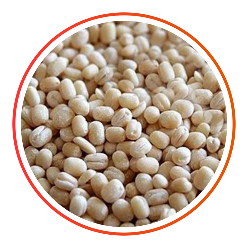 URAD GOTA