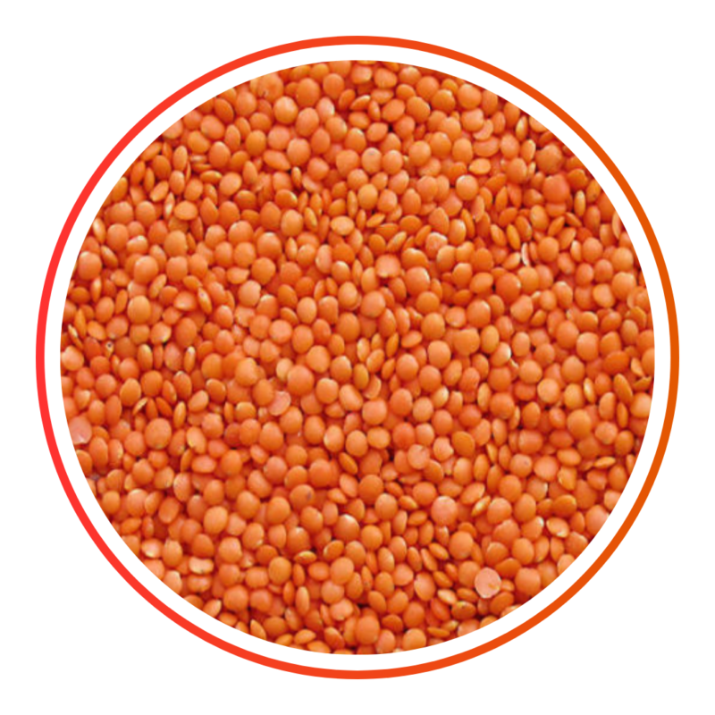 MASOOR DAL MEDIUM